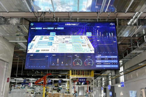 探秘青島高新區 年產20萬臺的海爾物聯工廠，如何以“硬核”科技鏈接全球低溫冷鏈